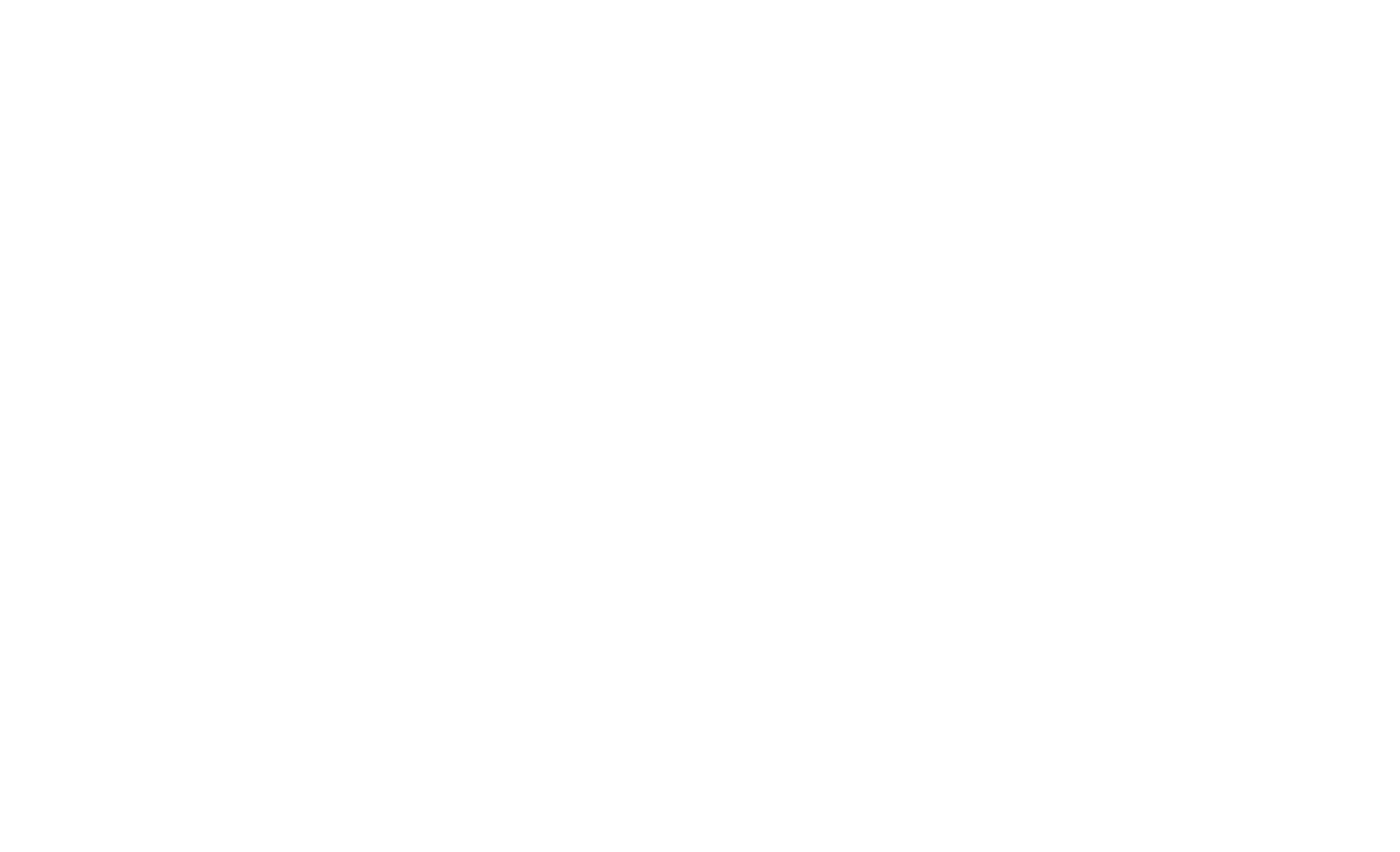 PSI Logo White 01.24 (1)